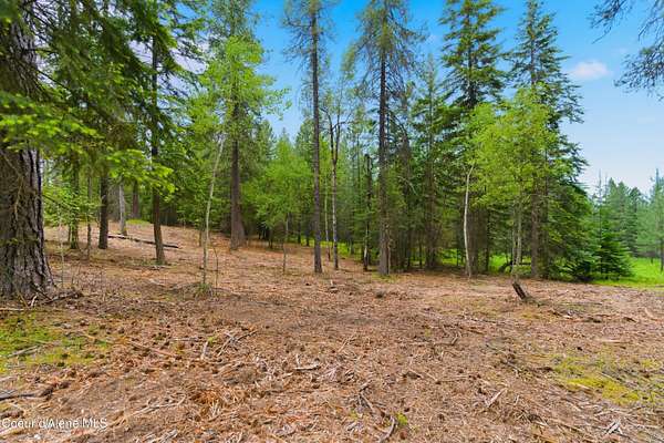 5 Acres of Land for Sale in Harrison, Idaho