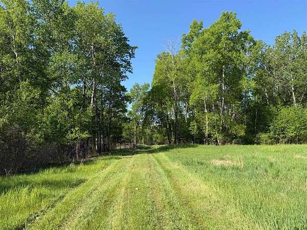 120 Acres of Recreational Land for Sale in Sandstone Township, Minnesota