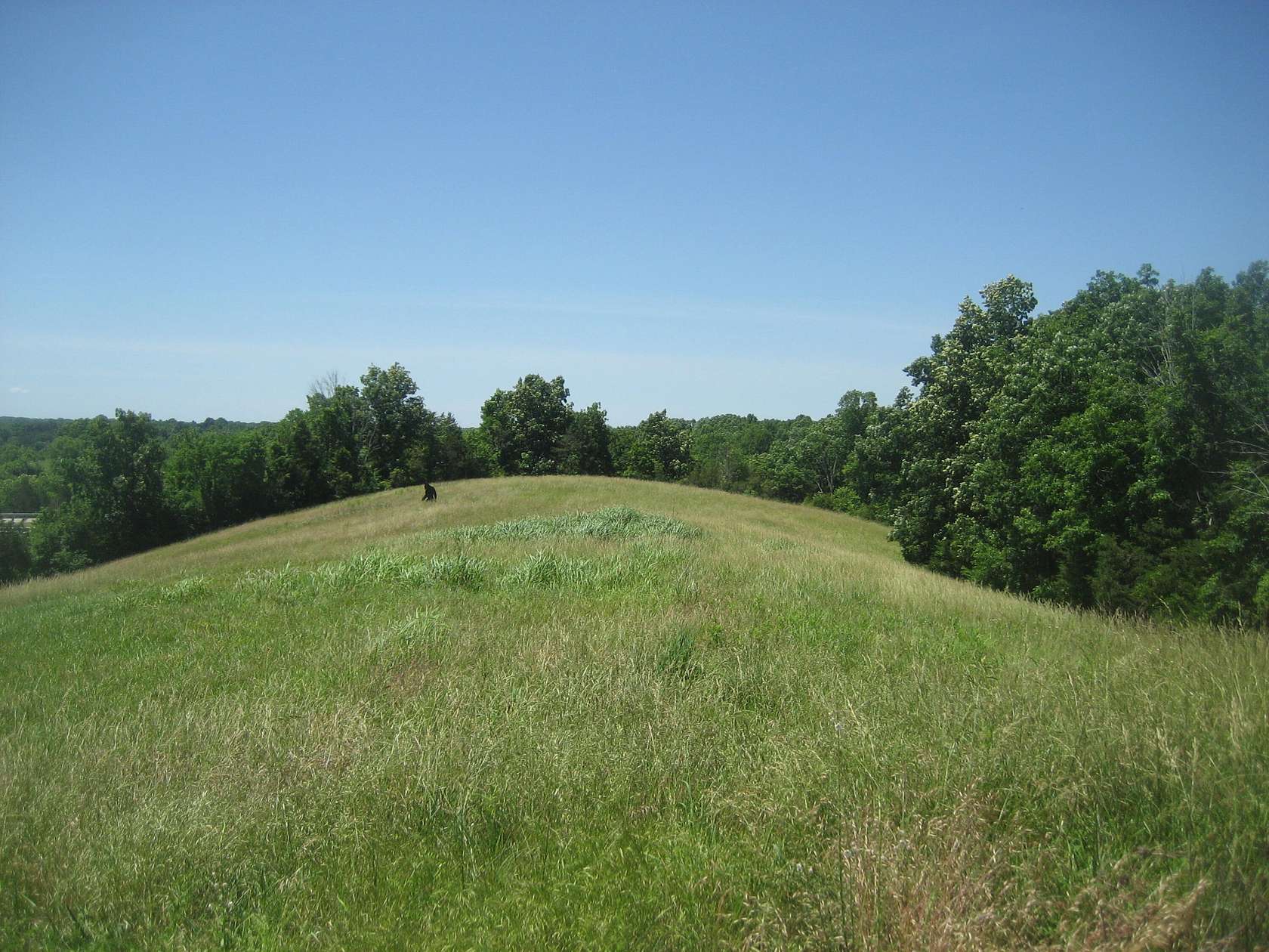 20 Acres of Recreational & Residential Land for Sale in Lawrenceburg, Kentucky