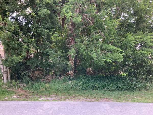 0.17 Acres of Residential Land for Sale in Palm Coast, Florida