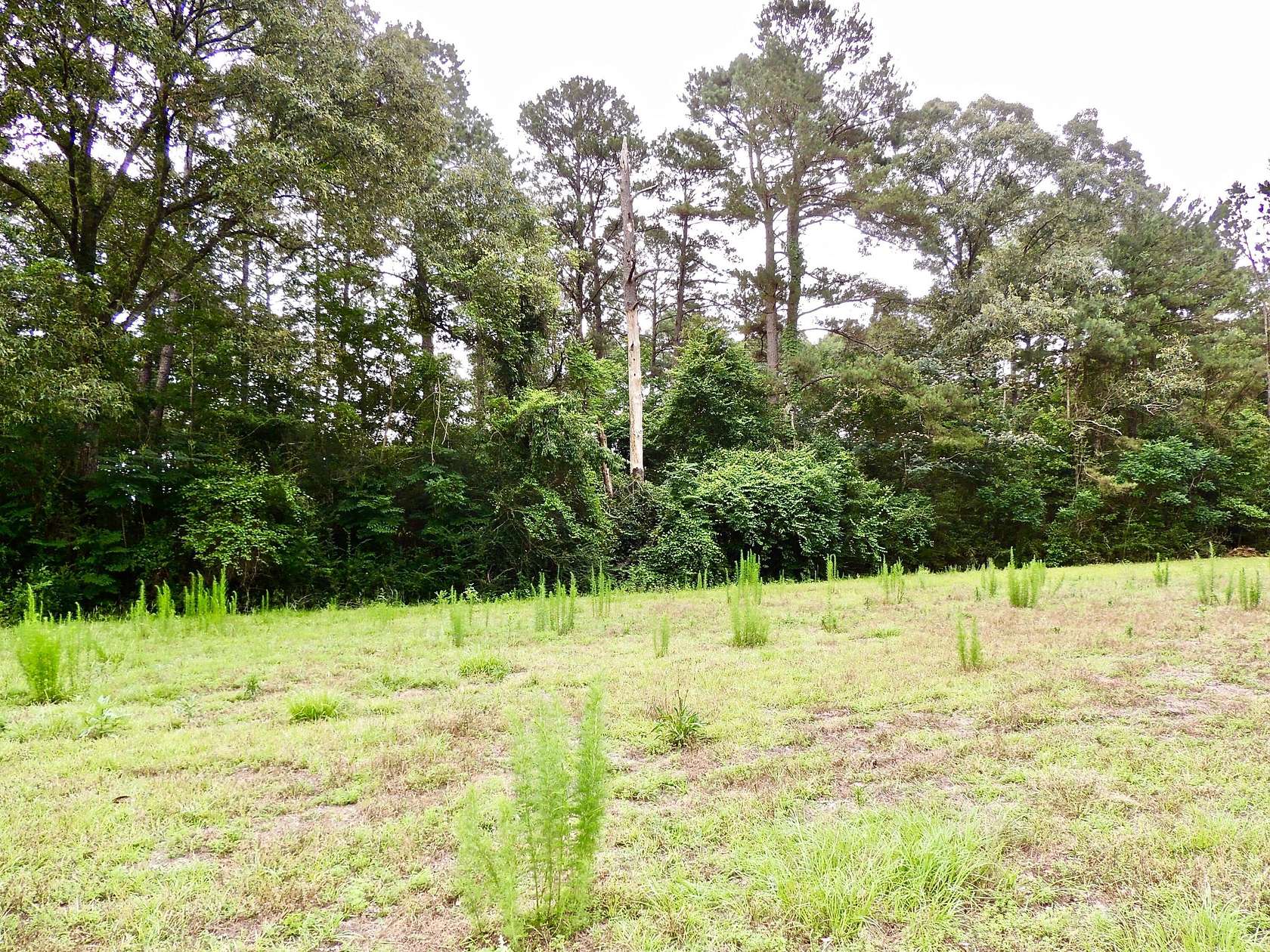 12 Acres of Land for Sale in Sumrall, Mississippi