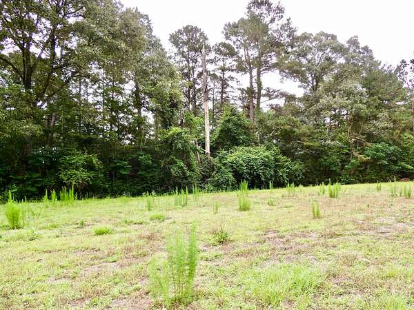 12 Acres of Land for Sale in Sumrall, Mississippi