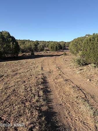 19.2 Acres of Land for Sale in Concho, Arizona