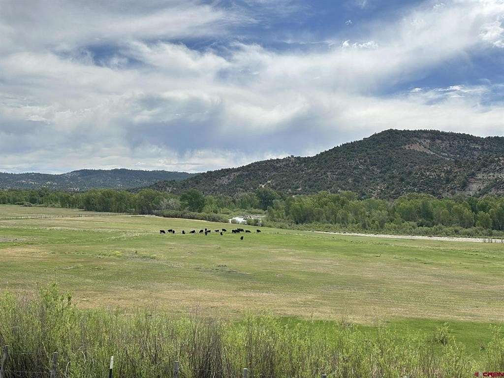 70 Acres of Land for Sale in Arboles, Colorado