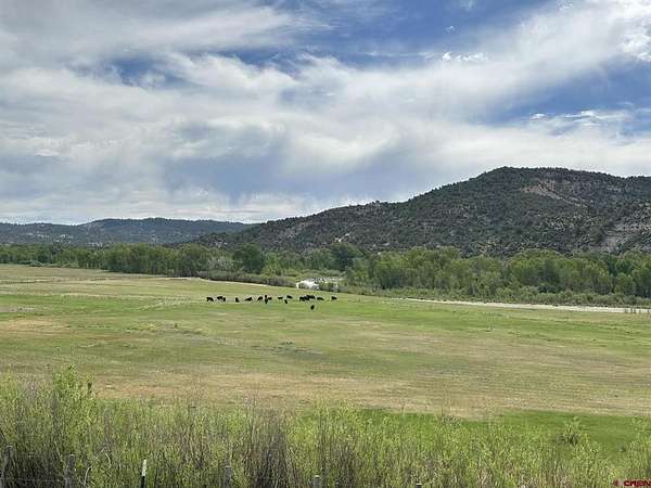 70 Acres of Land for Sale in Arboles, Colorado