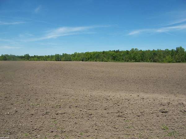 2.5 Acres of Residential Land for Sale in Kimball, Michigan