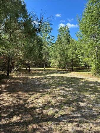11.3 Acres of Land for Sale in Lake City, Florida