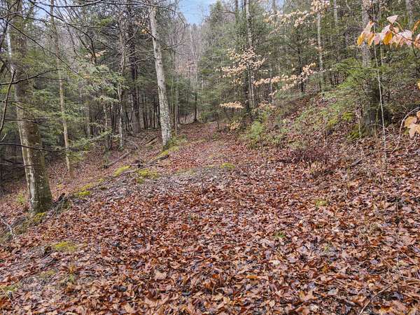 30 Acres of Recreational & Residential Land for Sale in Stanton, Kentucky