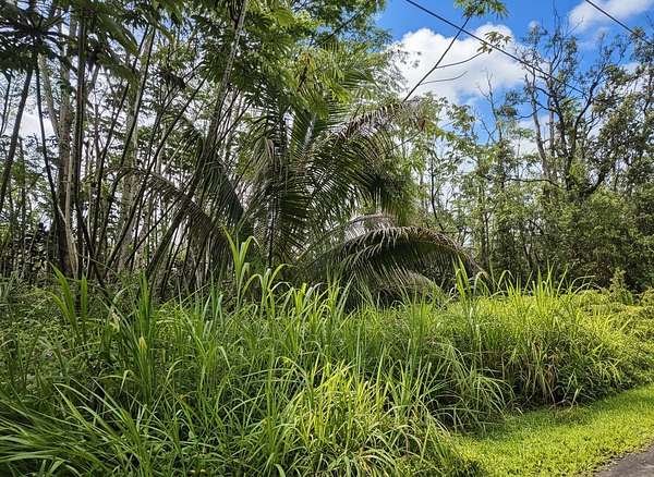 0.19 Acres of Land for Sale in Pahoa, Hawaii