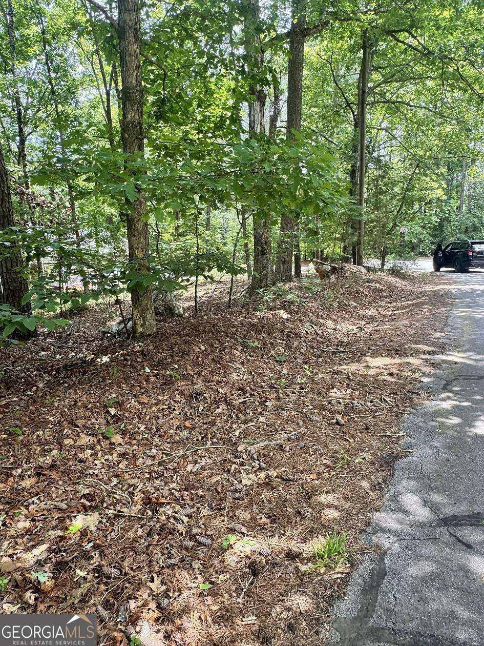 0.39 Acres of Residential Land for Sale in Villa Rica, Georgia