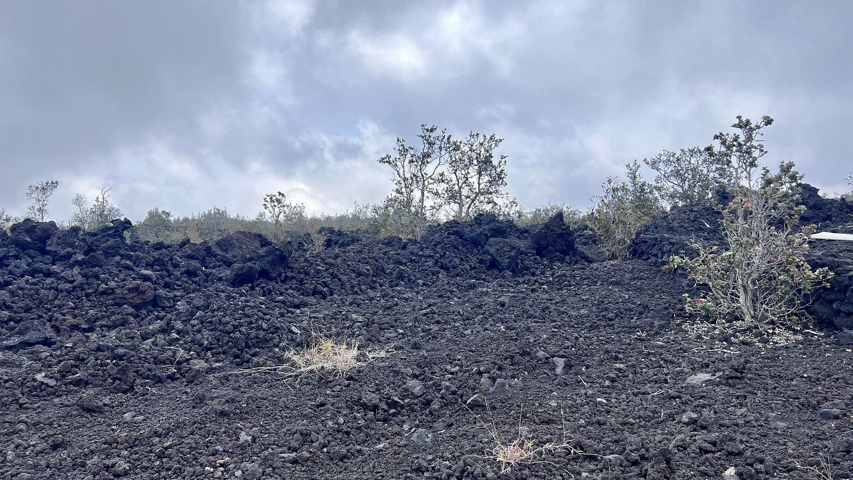 1 Acre of Residential Land for Sale in Hawaiian Ocean View, Hawaii