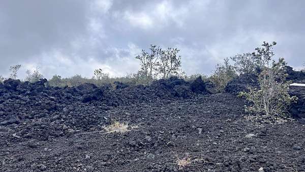 1 Acre of Residential Land for Sale in Hawaiian Ocean View, Hawaii