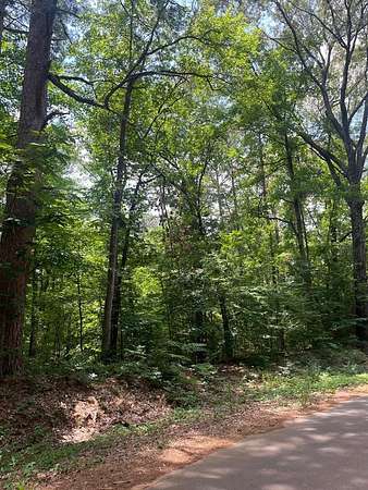 2.55 Acres of Residential Land for Sale in Rusk, Texas