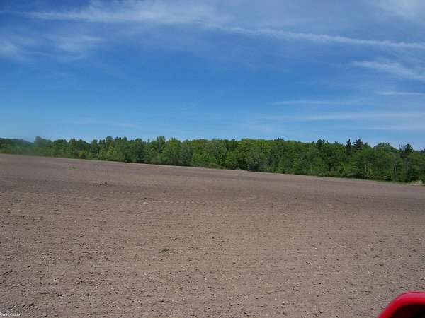 41 Acres of Land for Sale in Kimball, Michigan