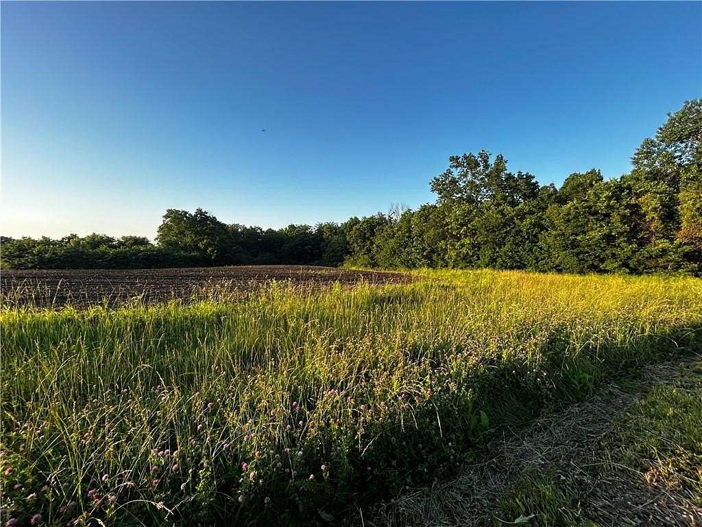 70 Acres of Land for Sale in Centerview, Missouri