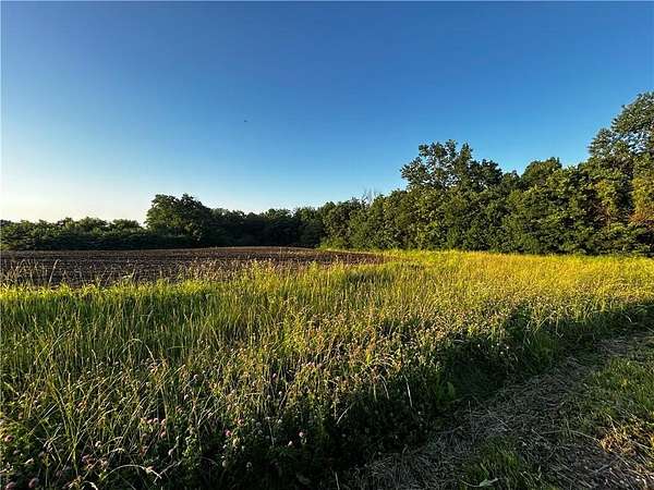 70 Acres of Land for Sale in Centerview, Missouri