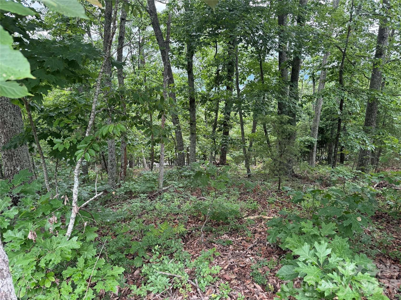1.72 Acres of Residential Land for Sale in Bostic, North Carolina