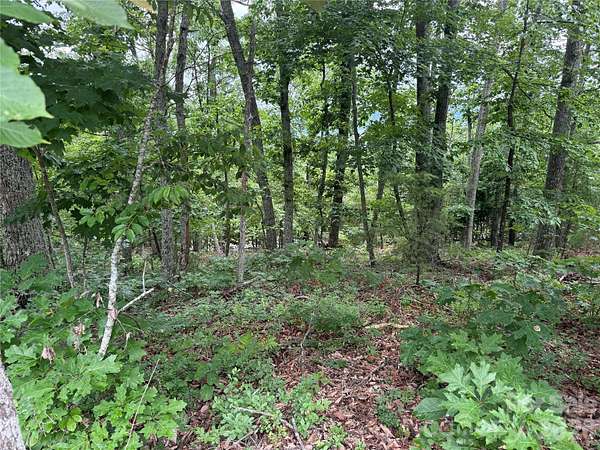 1.72 Acres of Residential Land for Sale in Bostic, North Carolina