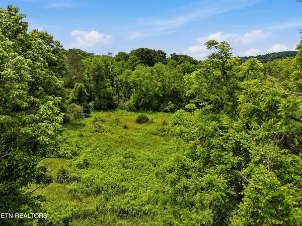 4.7 Acres of Residential Land for Sale in Washburn, Tennessee
