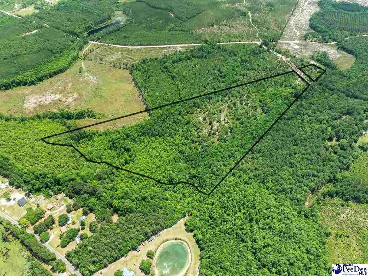 47 Acres of Recreational & Residential Land for Sale in Patrick, South Carolina