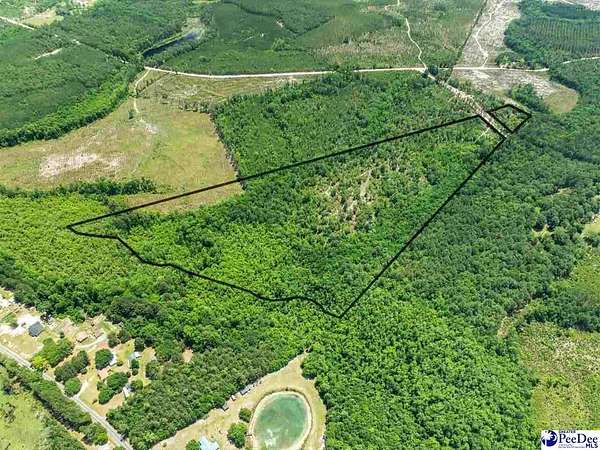 47 Acres of Recreational & Residential Land for Sale in Patrick, South Carolina