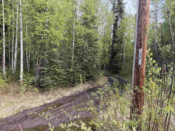 2.5 Acres of Residential Land for Sale in Fairbanks, Alaska
