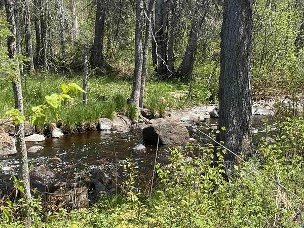 13.5 Acres of Recreational Land for Sale in Finland, Minnesota