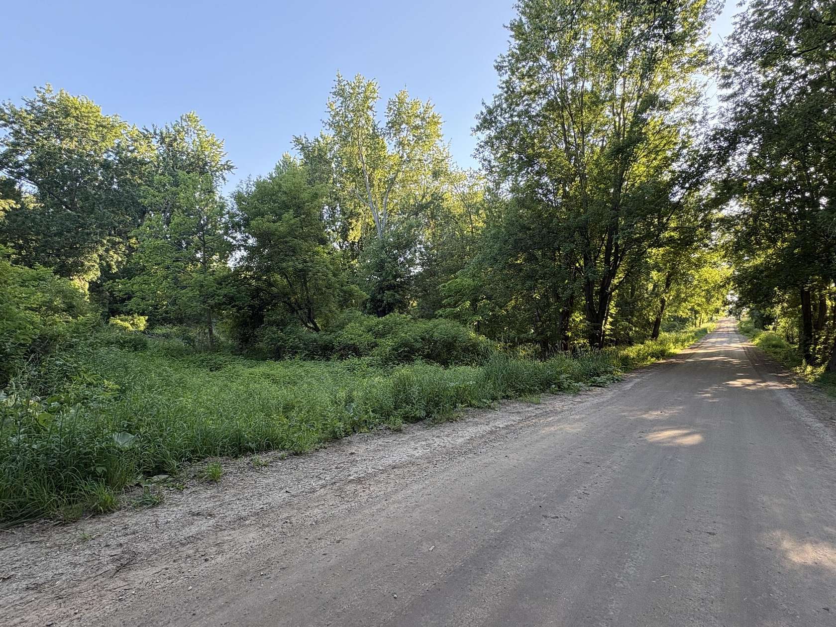 23 Acres of Land for Sale in Potterville, Michigan