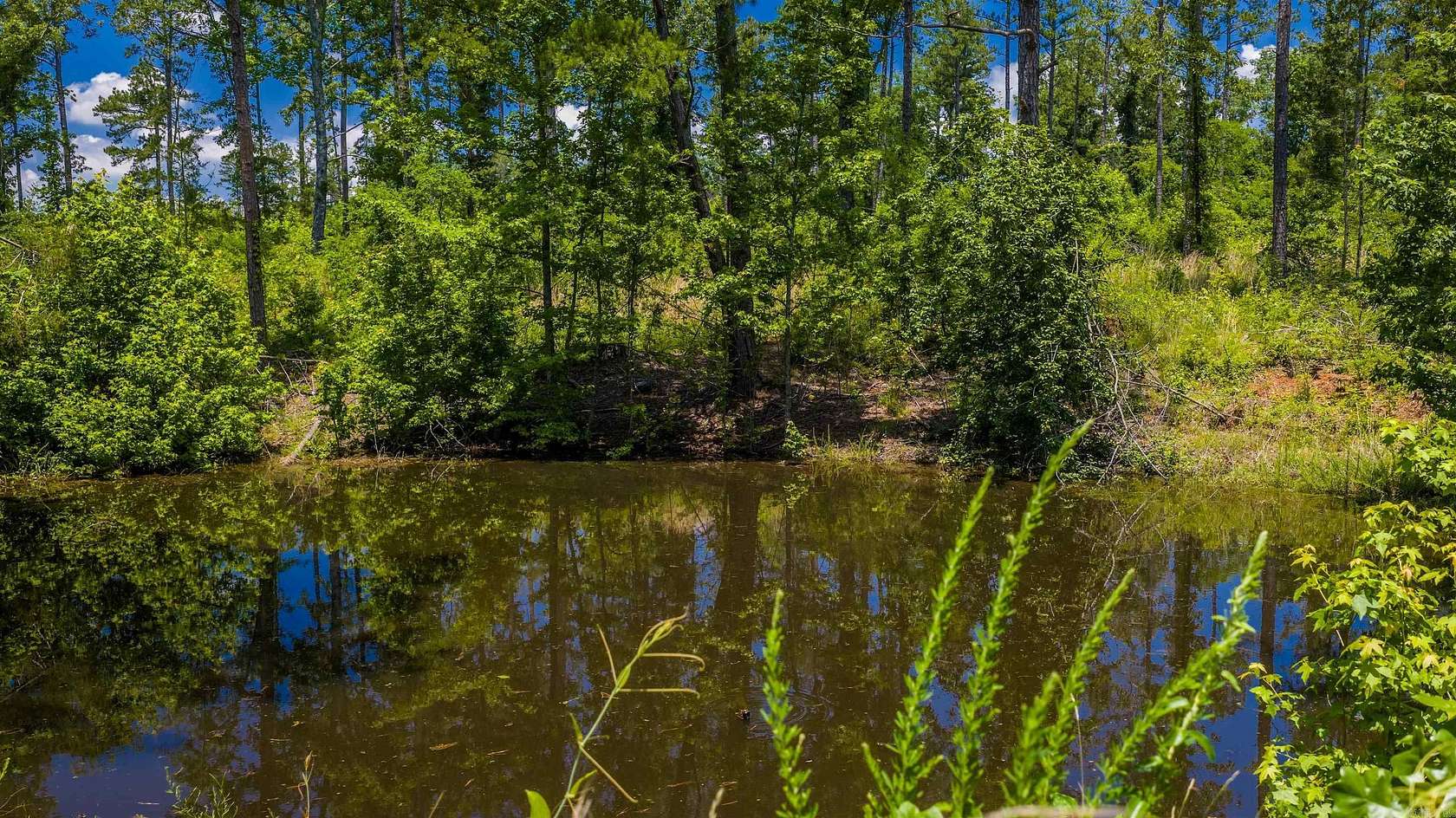 3 Acres of Residential Land for Sale in Springfield, Arkansas