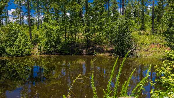 3 Acres of Residential Land for Sale in Springfield, Arkansas