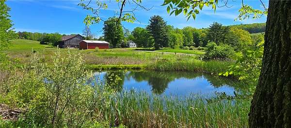 82 Acres of Recreational & Residential Land for Sale in Horseheads, New York