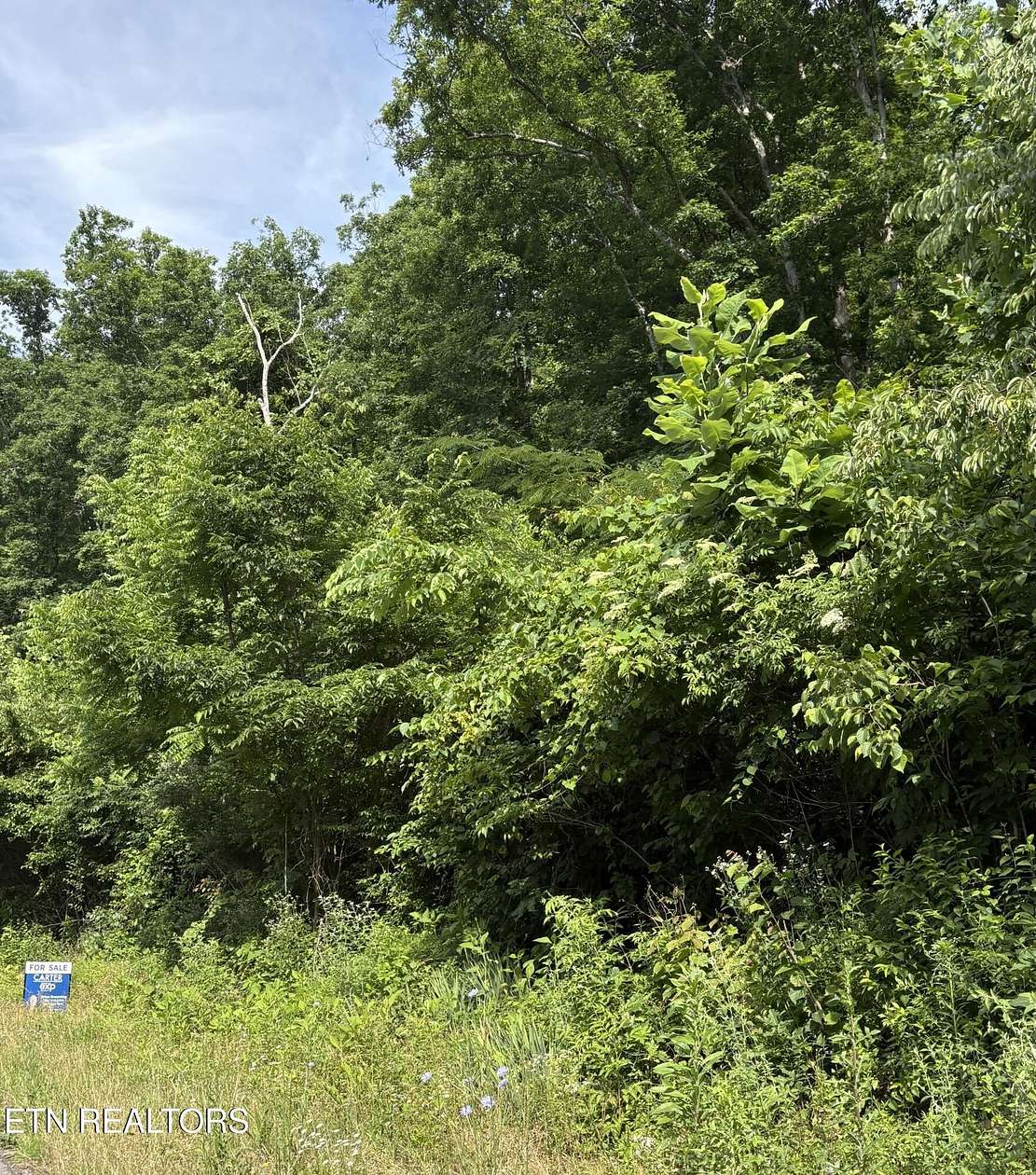18.5 Acres of Recreational & Residential Land for Sale in Pioneer, Tennessee