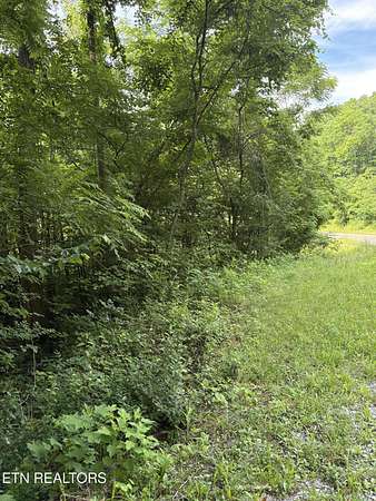18.5 Acres of Recreational & Residential Land for Sale in Pioneer, Tennessee