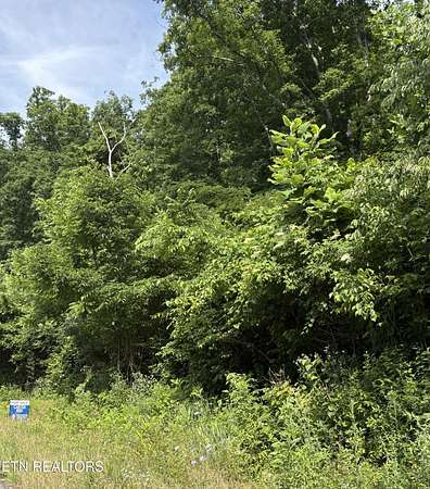 18.5 Acres of Recreational & Residential Land for Sale in Pioneer, Tennessee