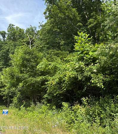 18.5 Acres of Land for Sale in Pioneer, Tennessee