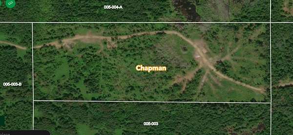 40 Acres of Recreational Land for Sale in Chapman, Maine