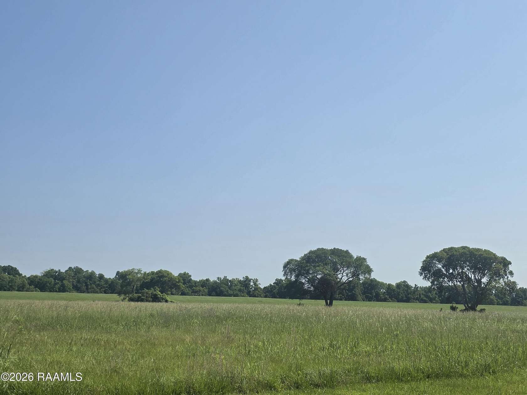 19.4 Acres of Land for Sale in Alexandria, Louisiana