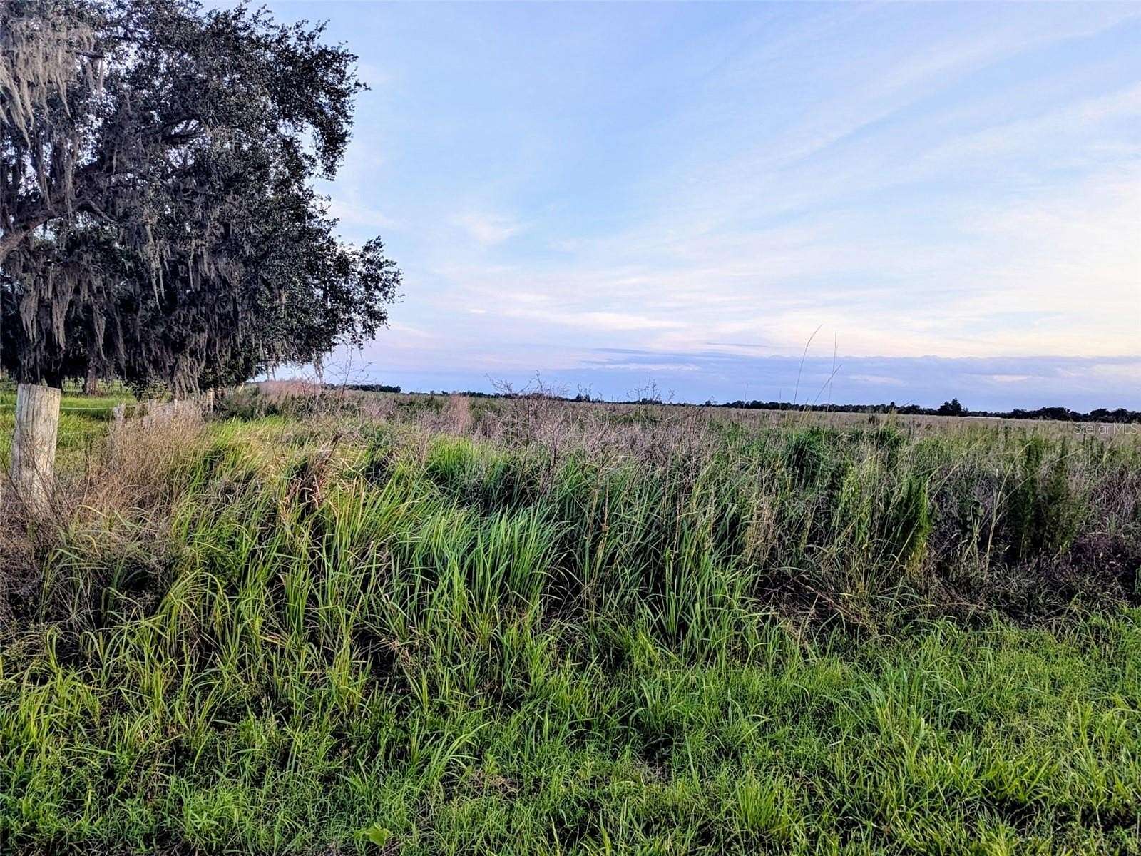 10 Acres of Residential Land for Sale in Zolfo Springs, Florida