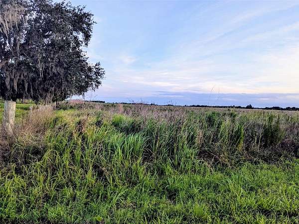 10 Acres of Residential Land for Sale in Zolfo Springs, Florida