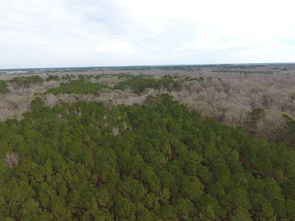 160 Acres of Recreational Land for Sale in Ville Platte, Louisiana