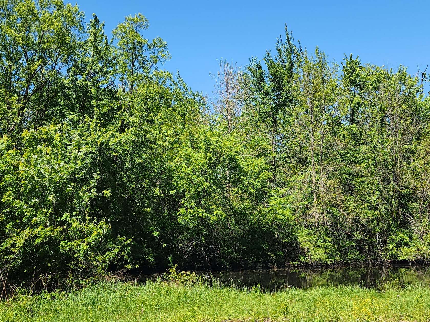 0.27 Acres of Land for Sale in Sumava Resorts, Indiana