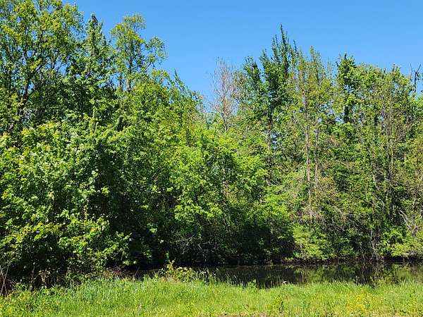 0.27 Acres of Land for Sale in Sumava Resorts, Indiana