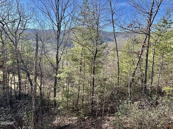 0.95 Acres of Residential Land for Sale in Sevierville, Tennessee
