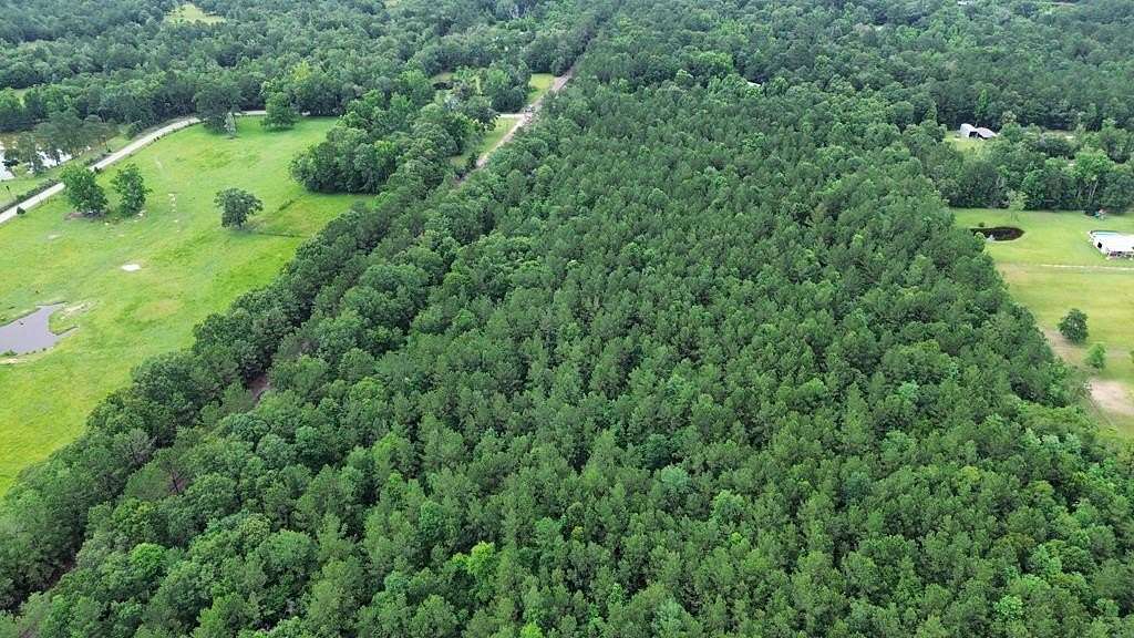 55.1 Acres of Recreational & Residential Land for Sale in Kirbyville, Texas