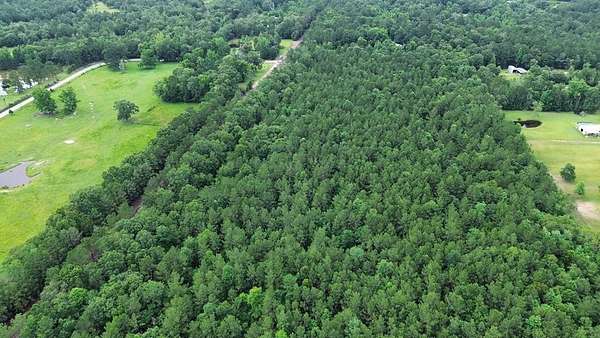 55.1 Acres of Recreational & Residential Land for Sale in Kirbyville, Texas