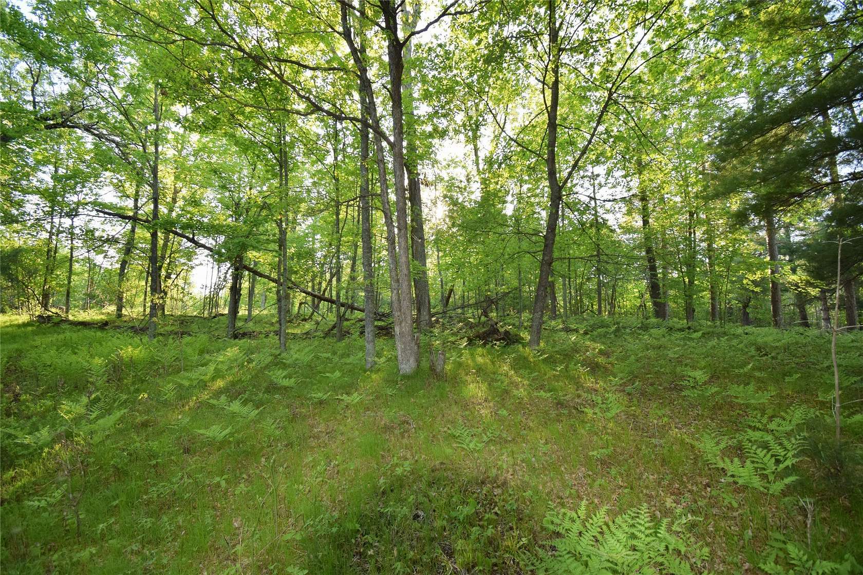 0.51 Acres of Residential Land for Sale in Webster, Wisconsin