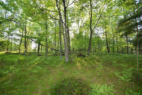 0.51 Acres of Residential Land for Sale in Webster, Wisconsin