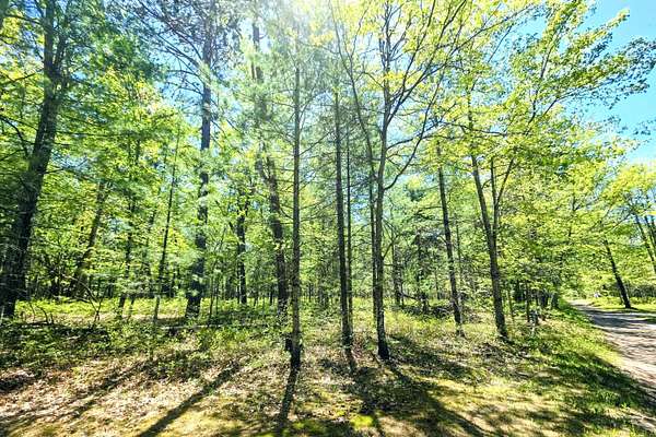 0.25 Acres of Residential Land for Sale in Grayling, Michigan