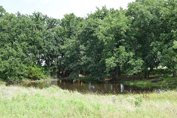 17.3 Acres of Land for Sale in Weatherford, Texas