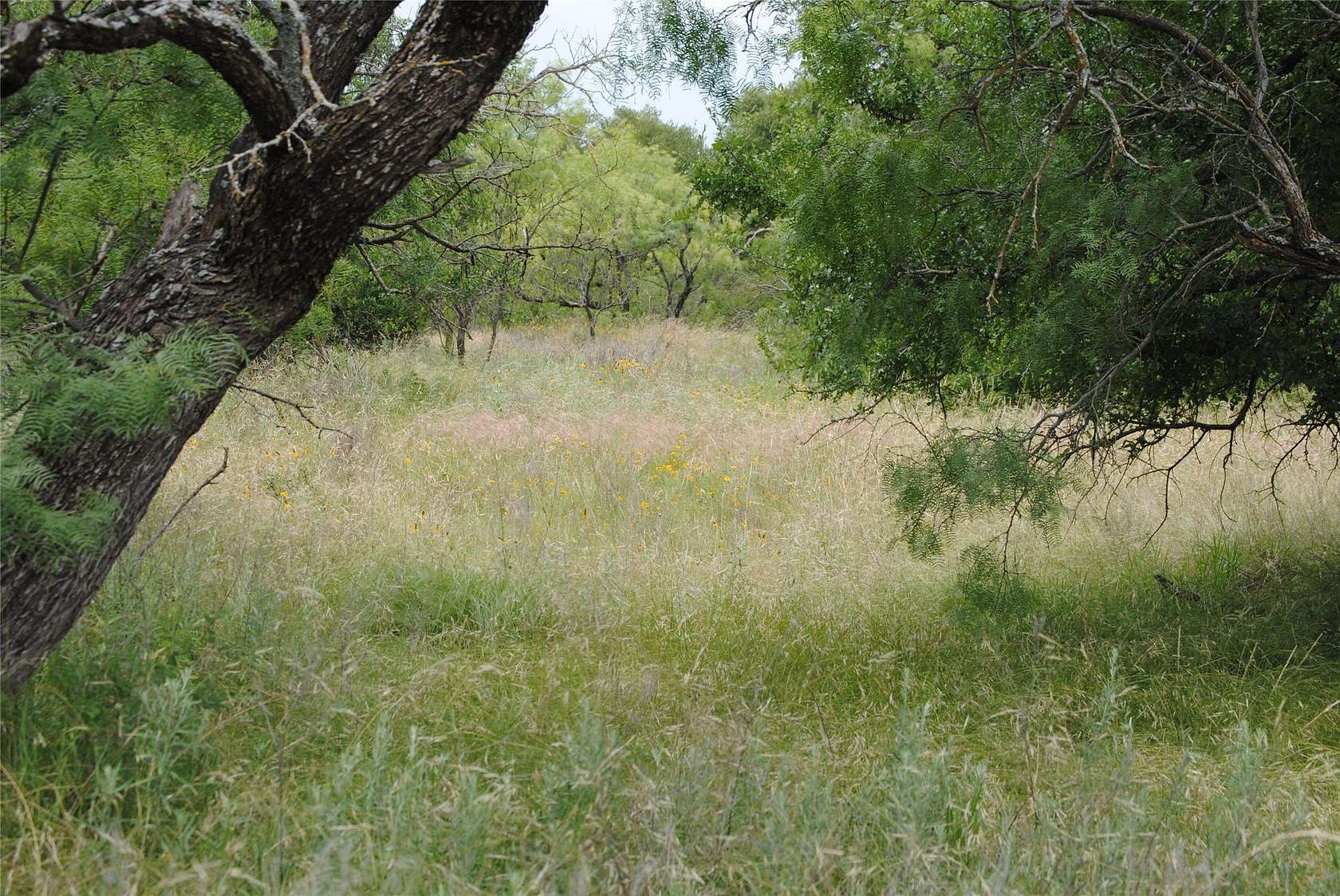99.4 Acres of Land for Sale in Rising Star, Texas